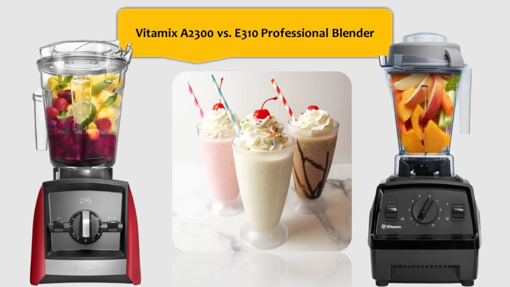 Vitamix A2300 vs. E310 Professional Blender
