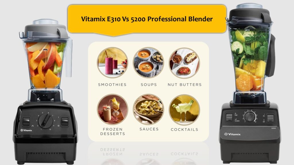 Vitamix E310 Vs 5200 Professional Blender