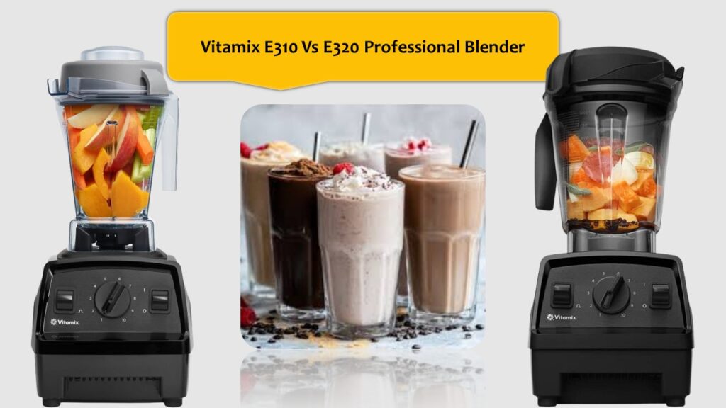 Vitamix E310 Vs E320 Professional Blender